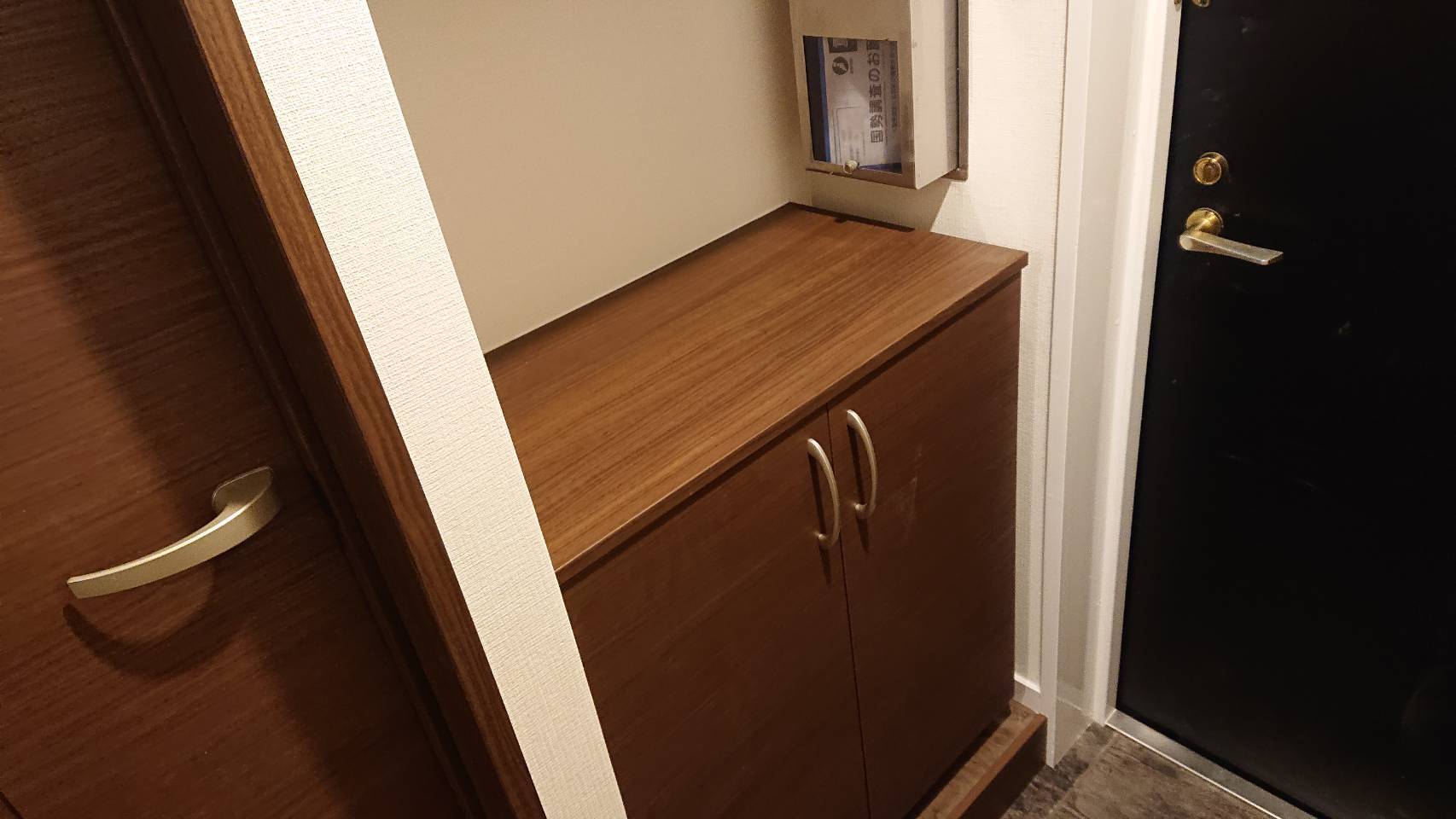 玄関(新しい下駄箱とドア)