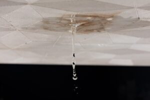 【雨漏り対策】宇都宮市で外壁・屋根塗装をすべきSOSサインとプロのメンテナンス術